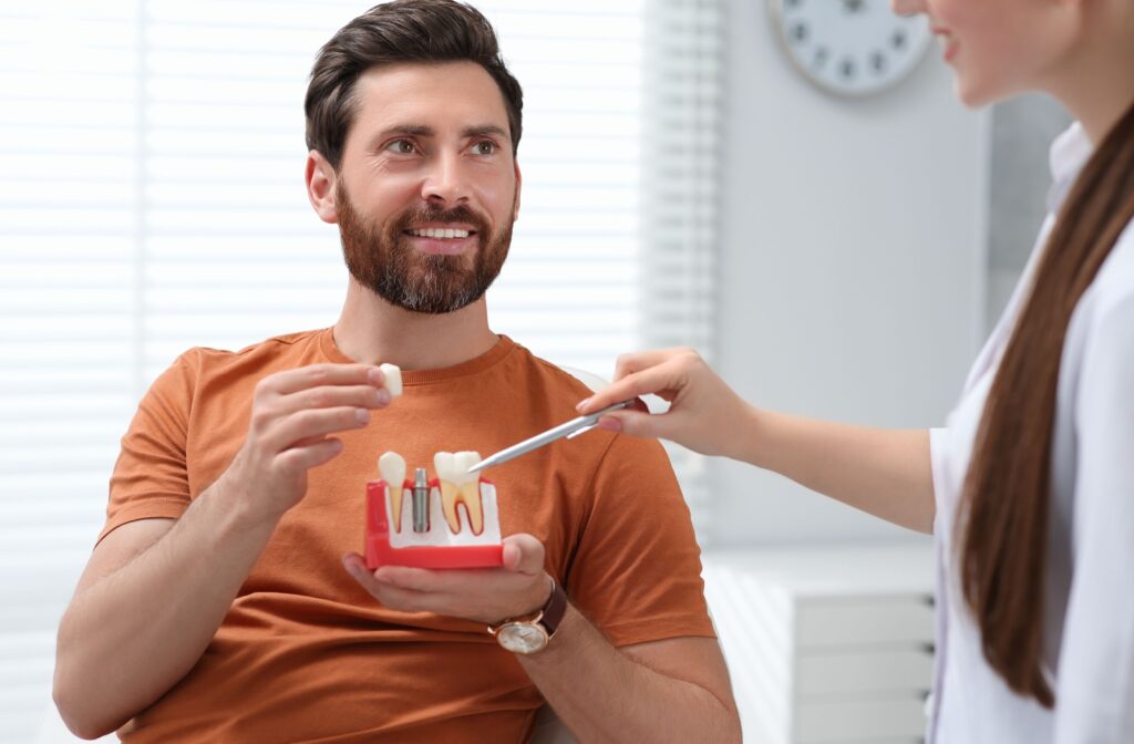 dentist educates their patient about dental implants with a model.